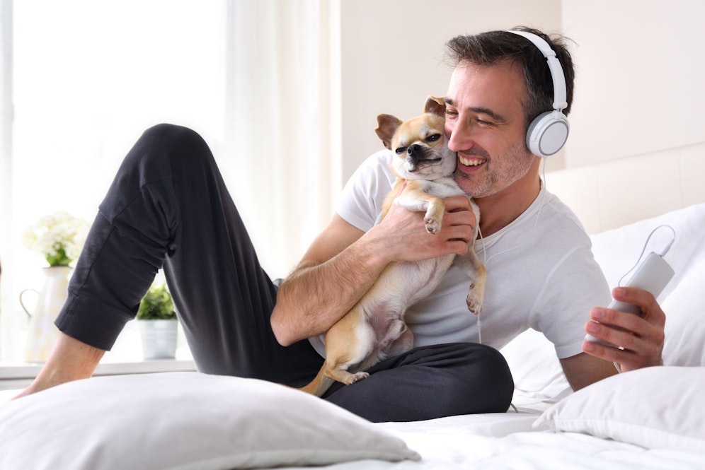 Frauen stehen laut einer Online-Dating Studie auf Männer mit Chihuahuas. 