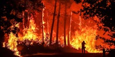 Waldbrände in Frankreich: Macron bittet Europa um Hilfe