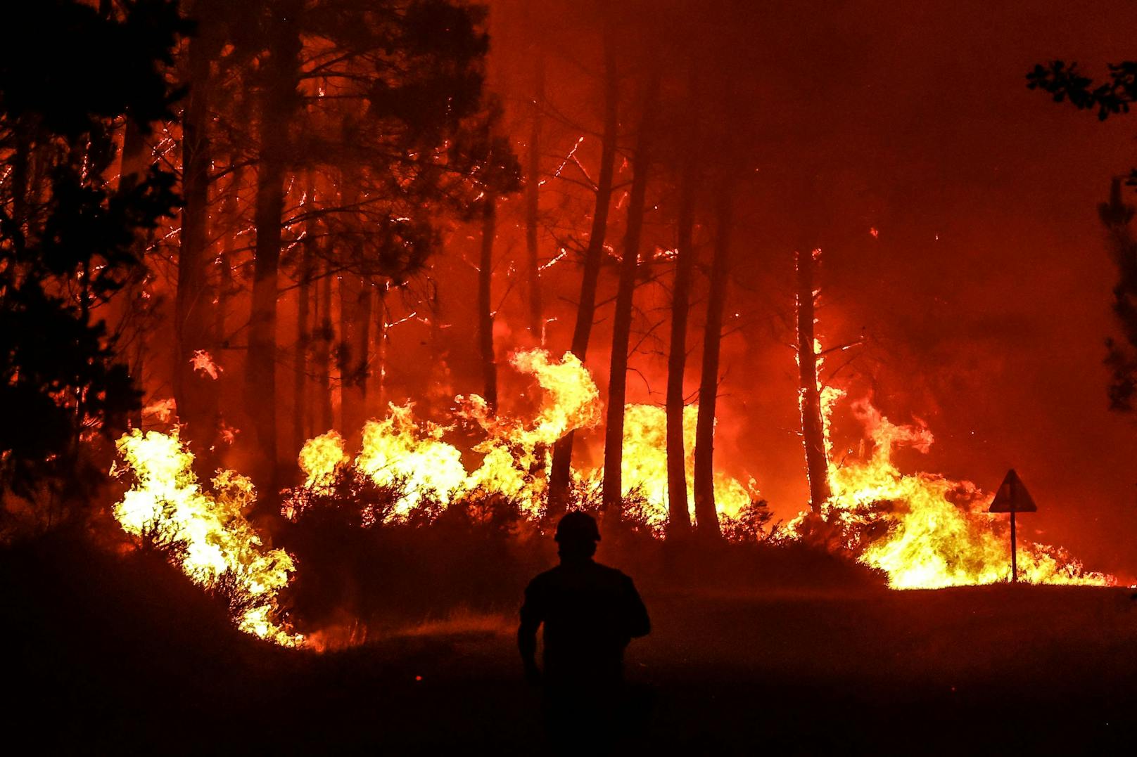 Deutschland und vier weitere europäische Länder unterstützen Frankreich im Kampf gegen mehrere massive Waldbrände.