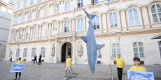 Für Meeresschutz – Fünf-Meter-Hai vor Außenministerium