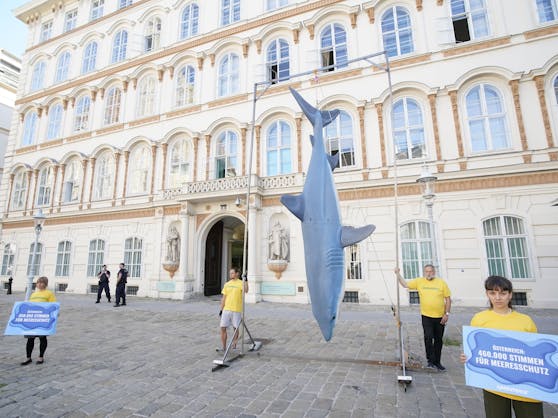 Greenpeace-Meeresschutzaktion Donnerstag früh vor dem Außenministerium in Wien.