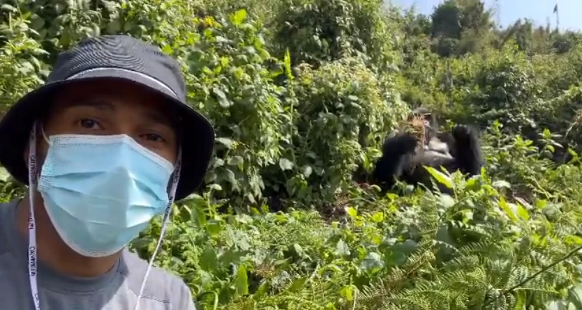 Hamilton und der Gorilla
