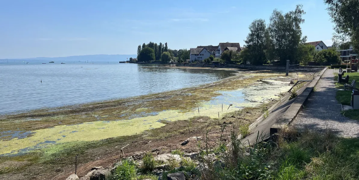 Das Bodenseeufer im an Österreich grenzenden Kanton St. Gallen.