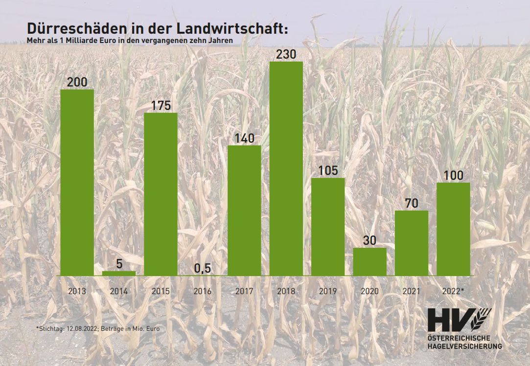 Dürreschäden in der Landwirtschaft