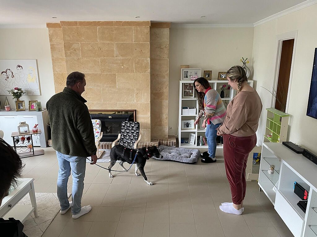 Reality-TV-Promi Danni Büchner wünscht sich einen Hund.