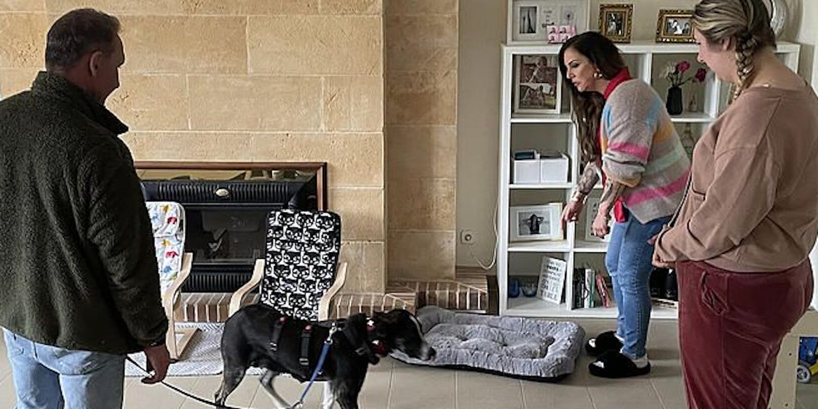Reality-TV-Promi Danni Büchner wünscht sich einen Hund.