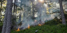 Camper grillen Essen, lösen Waldbrand am Semmering aus
