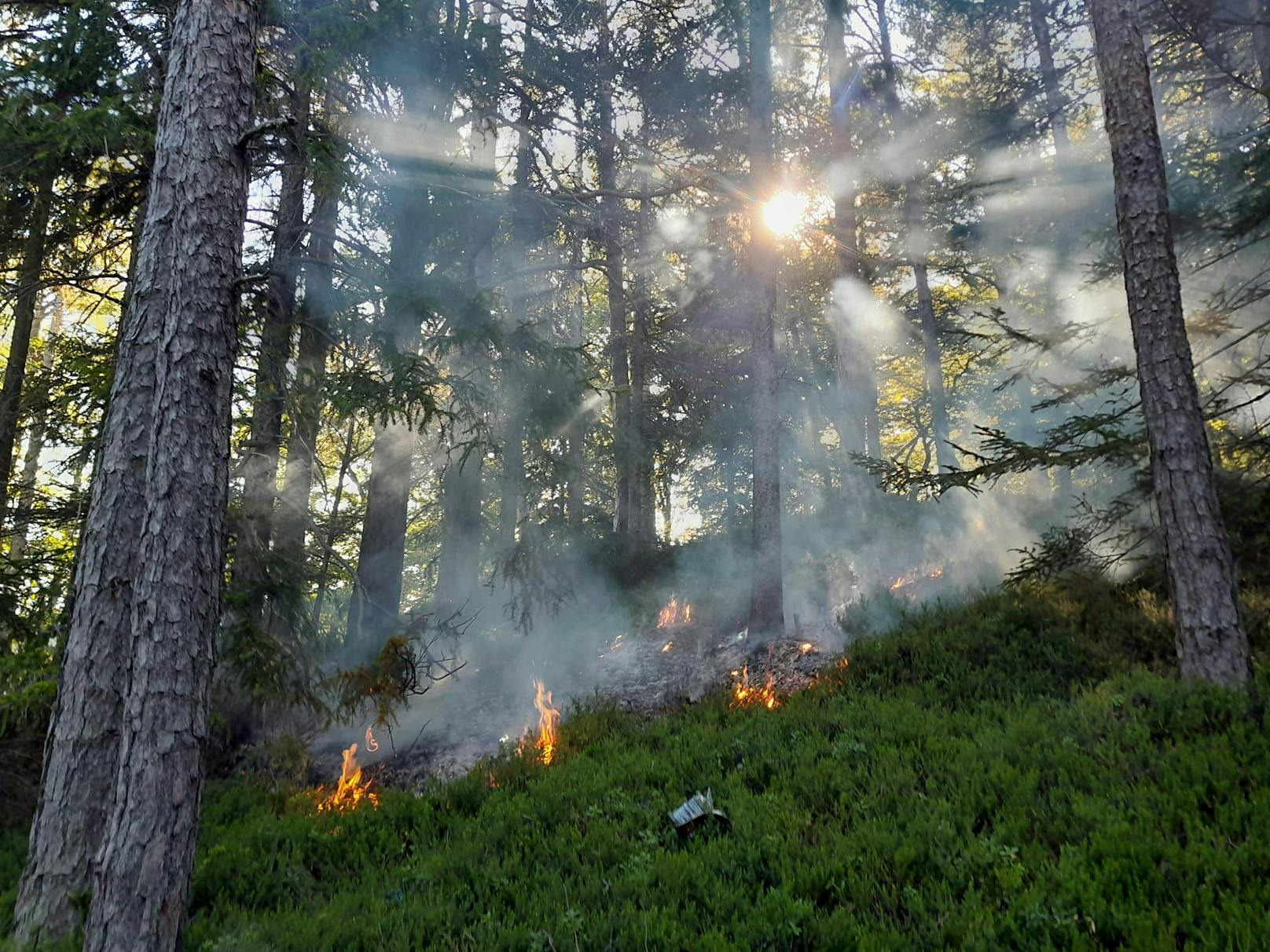 Camper grillen Essen, lösen Waldbrand am Semmering aus