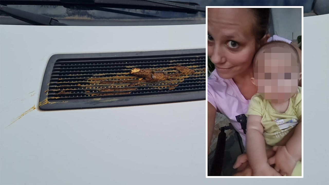 Heute.at - Vandale beschmiert parkende Autos mit Hundekot