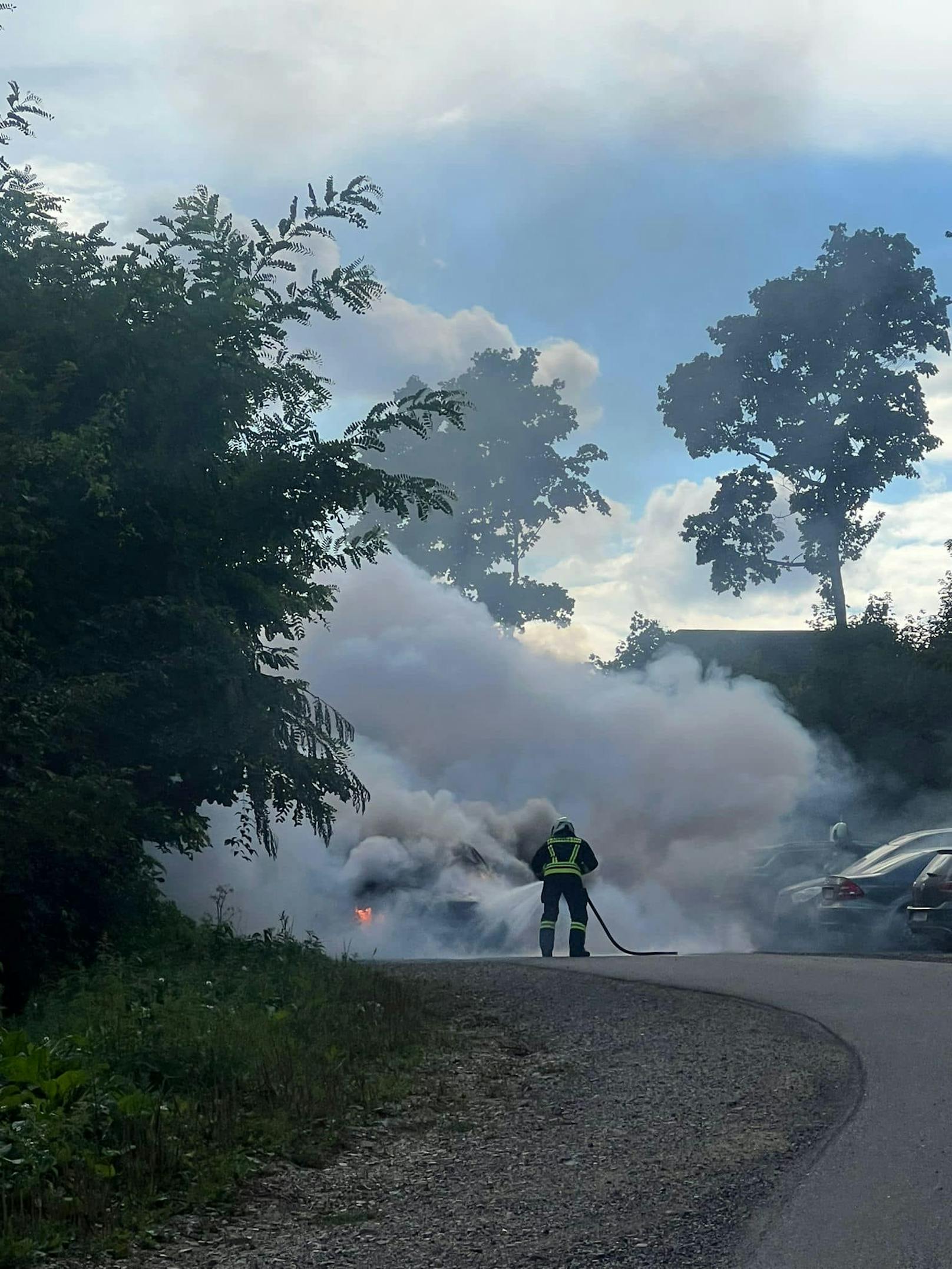 Der Zwischenfall passierte direkt vor der berühmten Burgruine Aggstein.