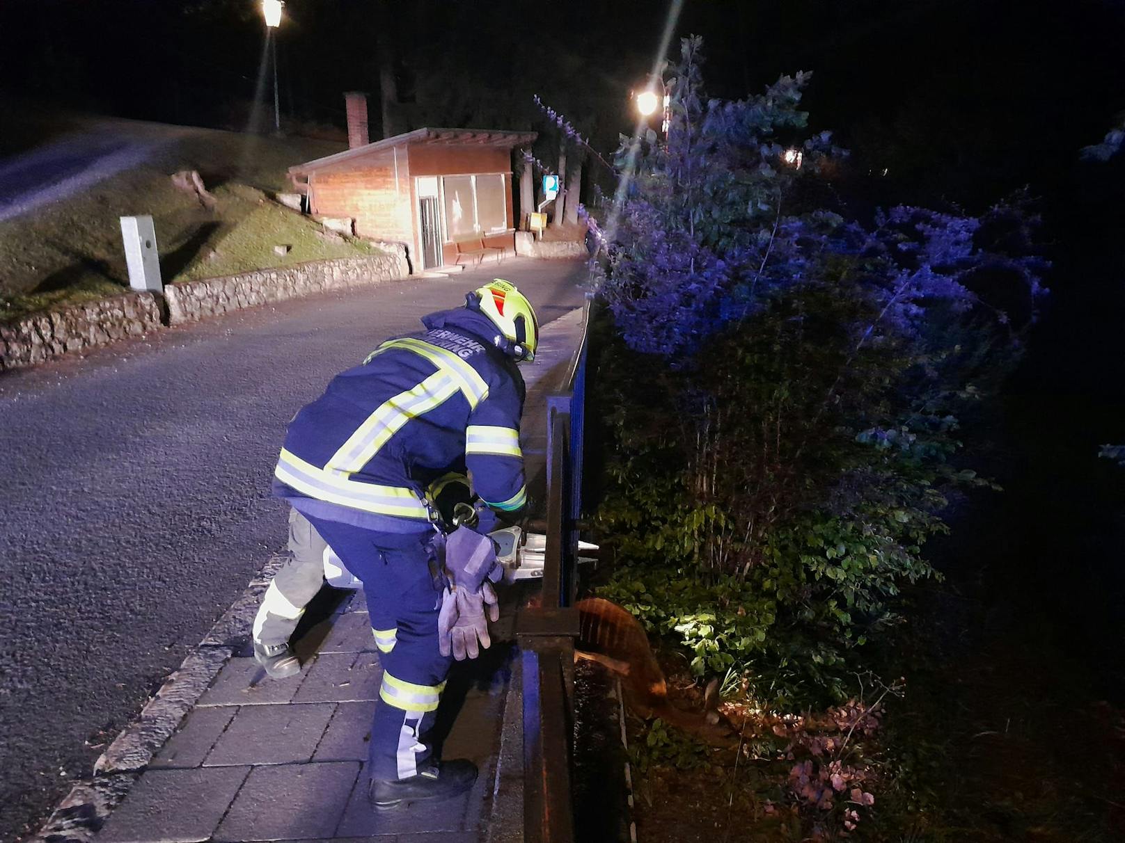 Die Feuerwehr nahm rasch den Spreizer zur Hand ...