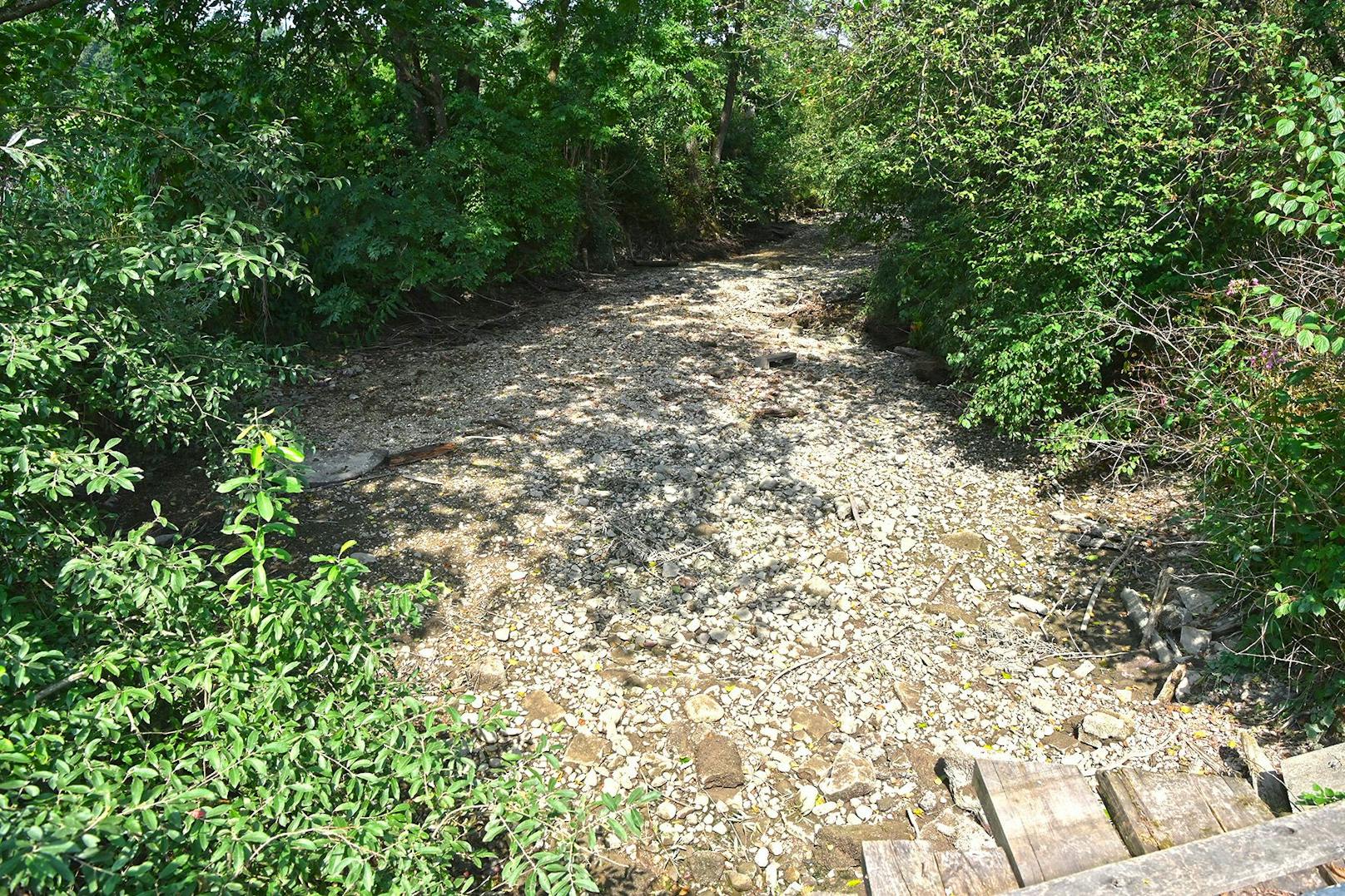 Das Flussbett der Mattig ist aufgrund der Hitze beinahe völlig ausgetrocknet.