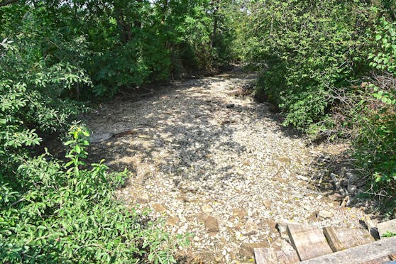 Das Flussbett der Mattig ist aufgrund der Hitze komplett ausgetrocknet.