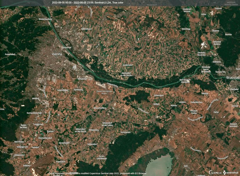 Im Sommer 2022 hat es im Osten Österreichs viel zu wenig geregnet. So vertrocknet ist das Land nun