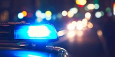 Wiener attackiert Polizisten und verletzt ihn schwer