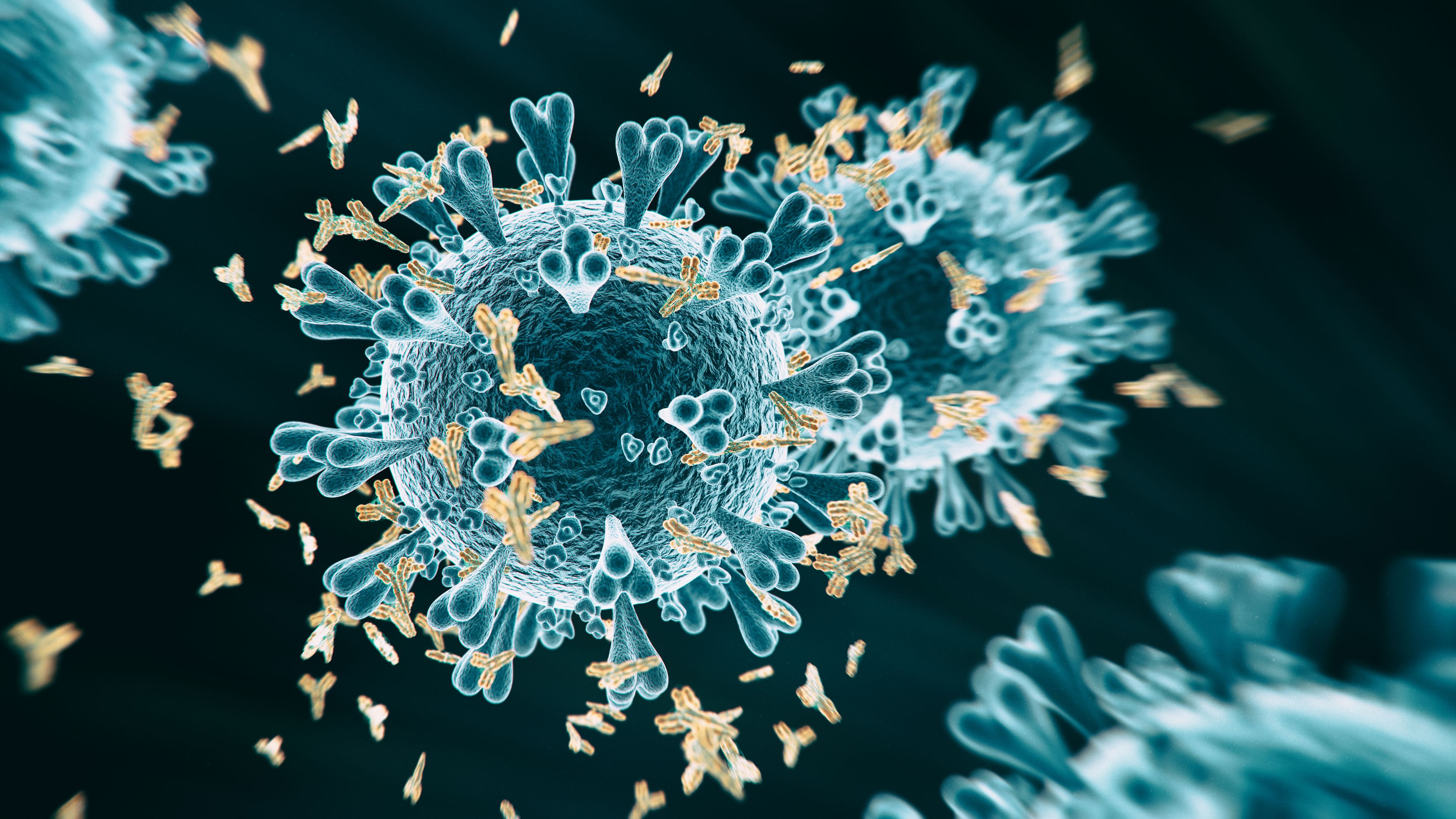 Abs COVID-19 antibody - 3d rendered image structure view on black background.  Viral Infection concept. MERS-CoV, SARS-CoV, ТОРС, 2019-nCoV, Wuhan Coronavirus. Antibody, Antigen, Vaccine concept.