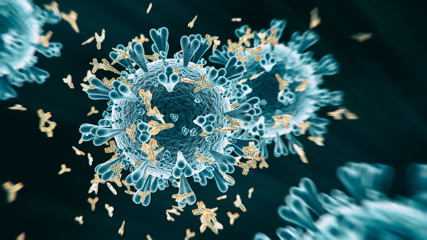 Ein neu identifizierter Antikörper lässt das Coronavirus an die menschliche Zelle zwar andocken, aber nicht eindringen – damit könnte ein neuer Durchbruch in der Impfstoffforschung gelingen.