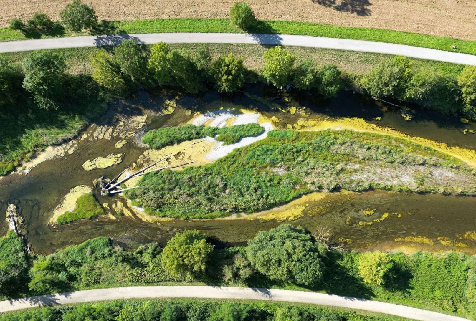  Die Niedrigwassersituation am Donaualtarm von Altenwörth aufgenommen am Dienstag, 16. August 2022.