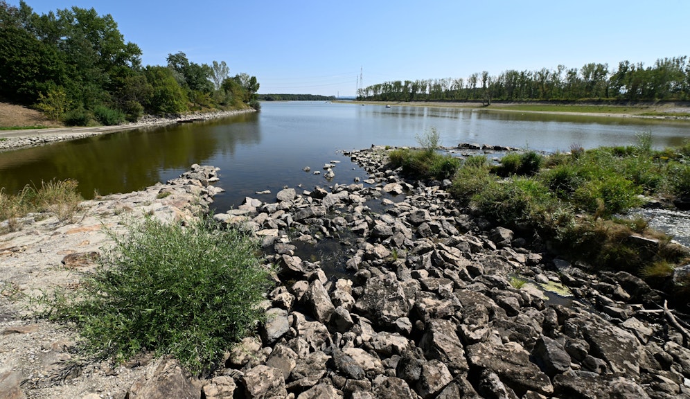  Die Niedrigwassersituation am Donaualtarm von Altenwörth aufgenommen am Dienstag, 16. August 2022.