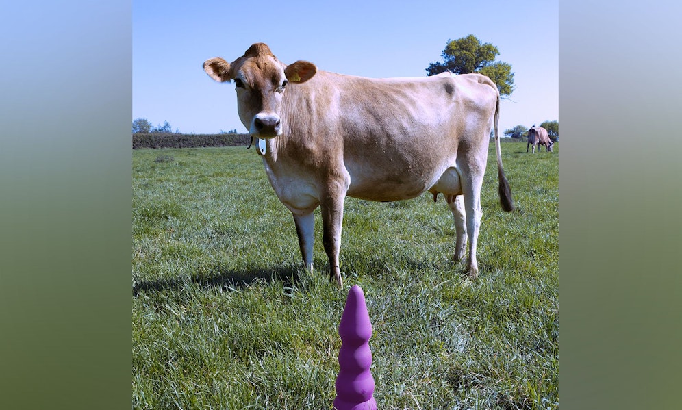 Die kontroverse Sextoy-Kollektion von Designerin Ece Tan soll zum Denken anregen.