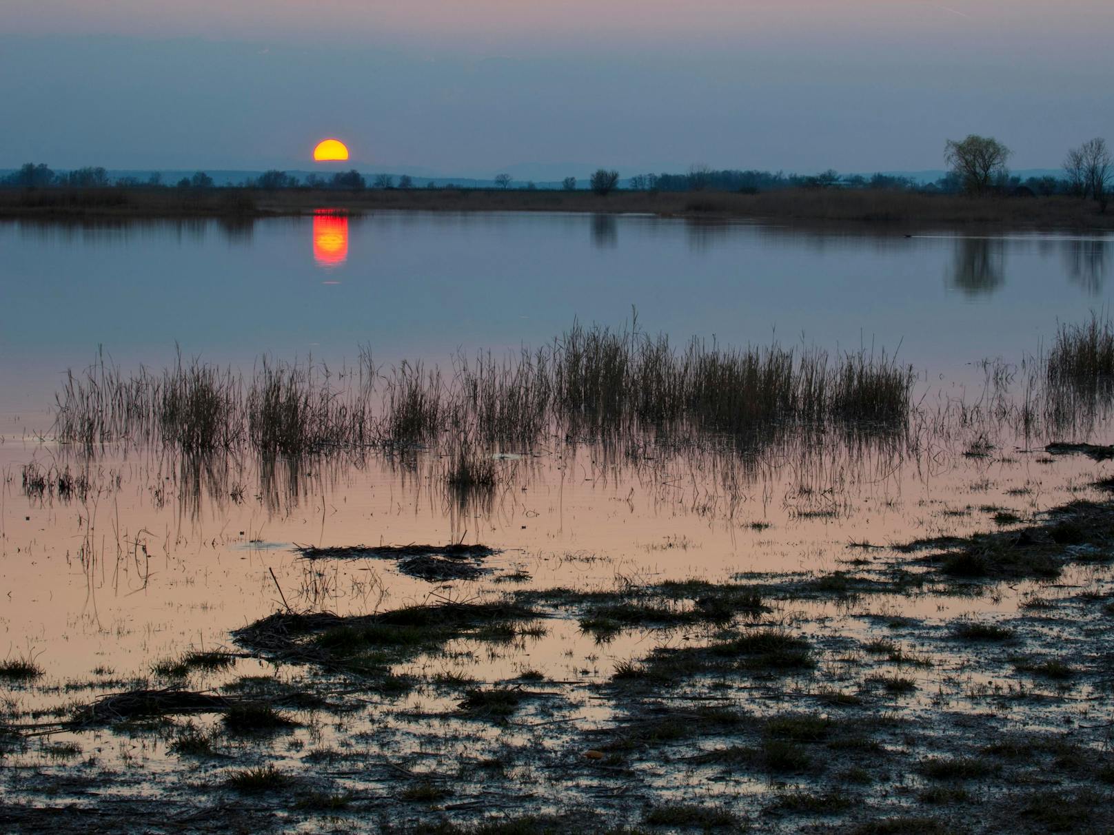 Sonnenuntergang am See. Das Bild wurde 2014 aufgenommen, da hatte die Darscho-Lacke noch mehr Wasser.