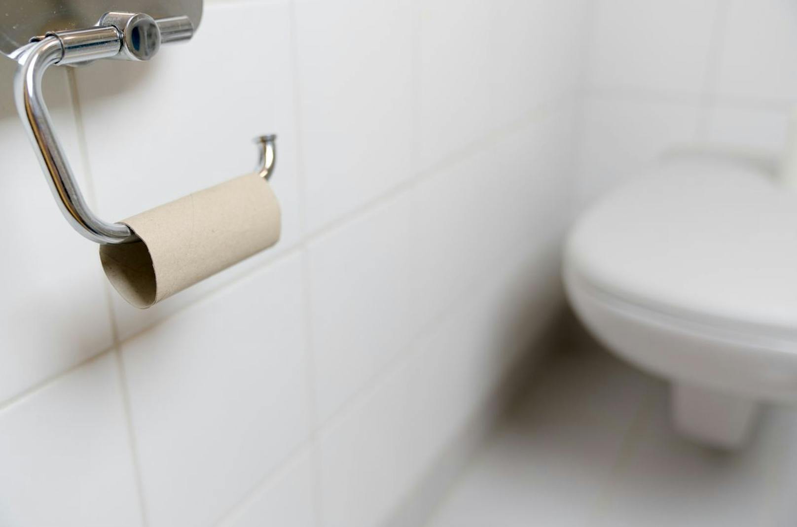 Für 88 Prozent der Frauen steht dagegen an oberster Stelle das Toilettenpapier, das nie ausgetauscht wird.