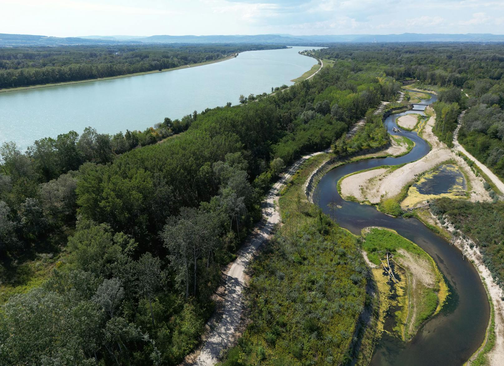  Die Niedrigwassersituation am Donaualtarm von Altenwörth aufgenommen am Dienstag, 16. August 2022.