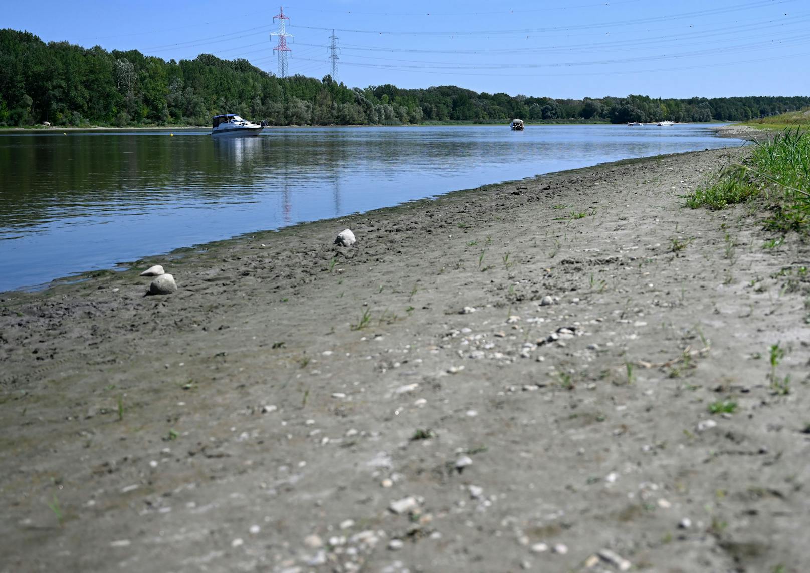  Die Niedrigwassersituation am Donaualtarm von Altenwörth aufgenommen am Dienstag, 16. August 2022.