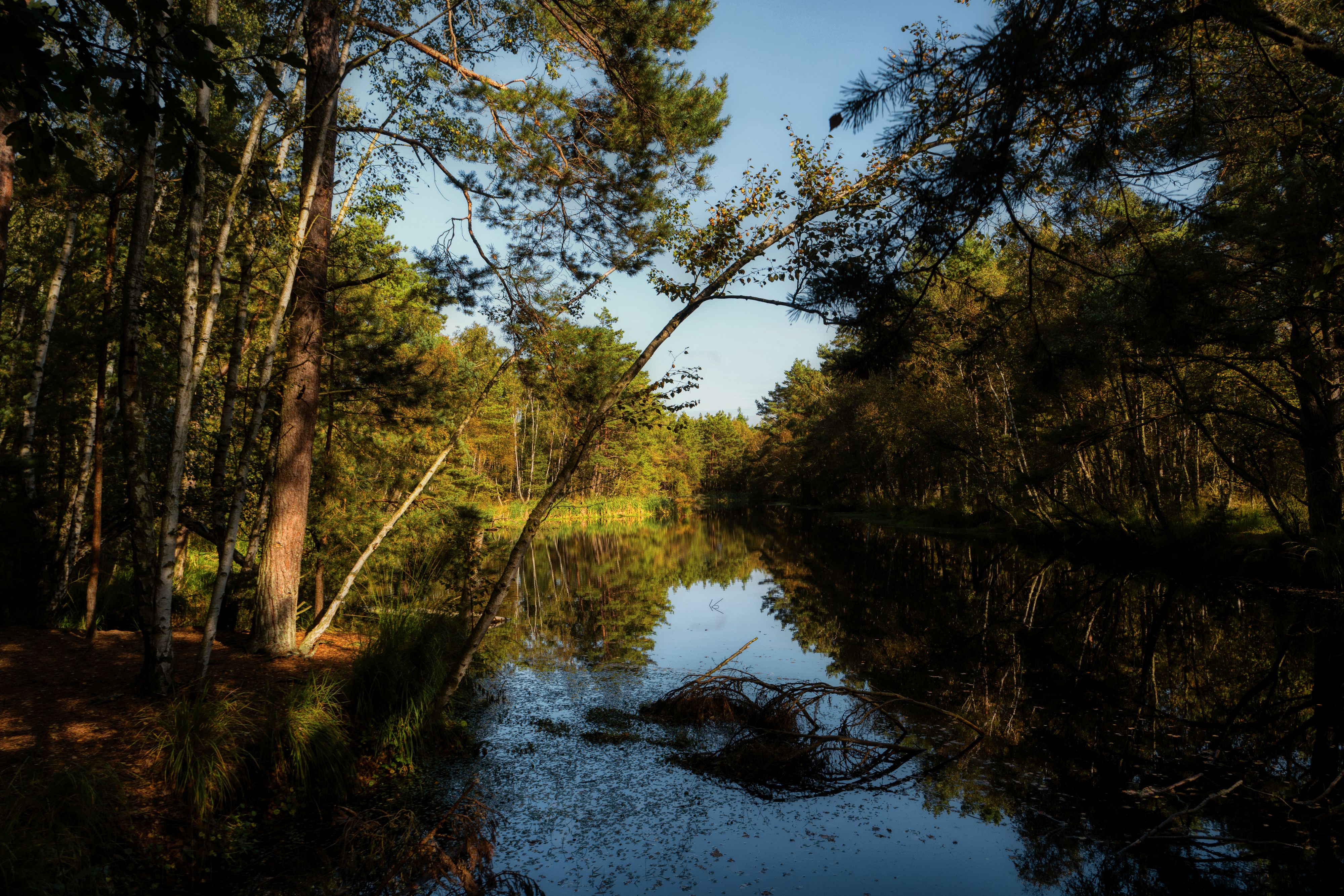 Auf dem Ribnitzer See in Mecklenburg-Vorpommern hat sich am Dienstagabend ein tödlicher Bootsunfall ereignet.
