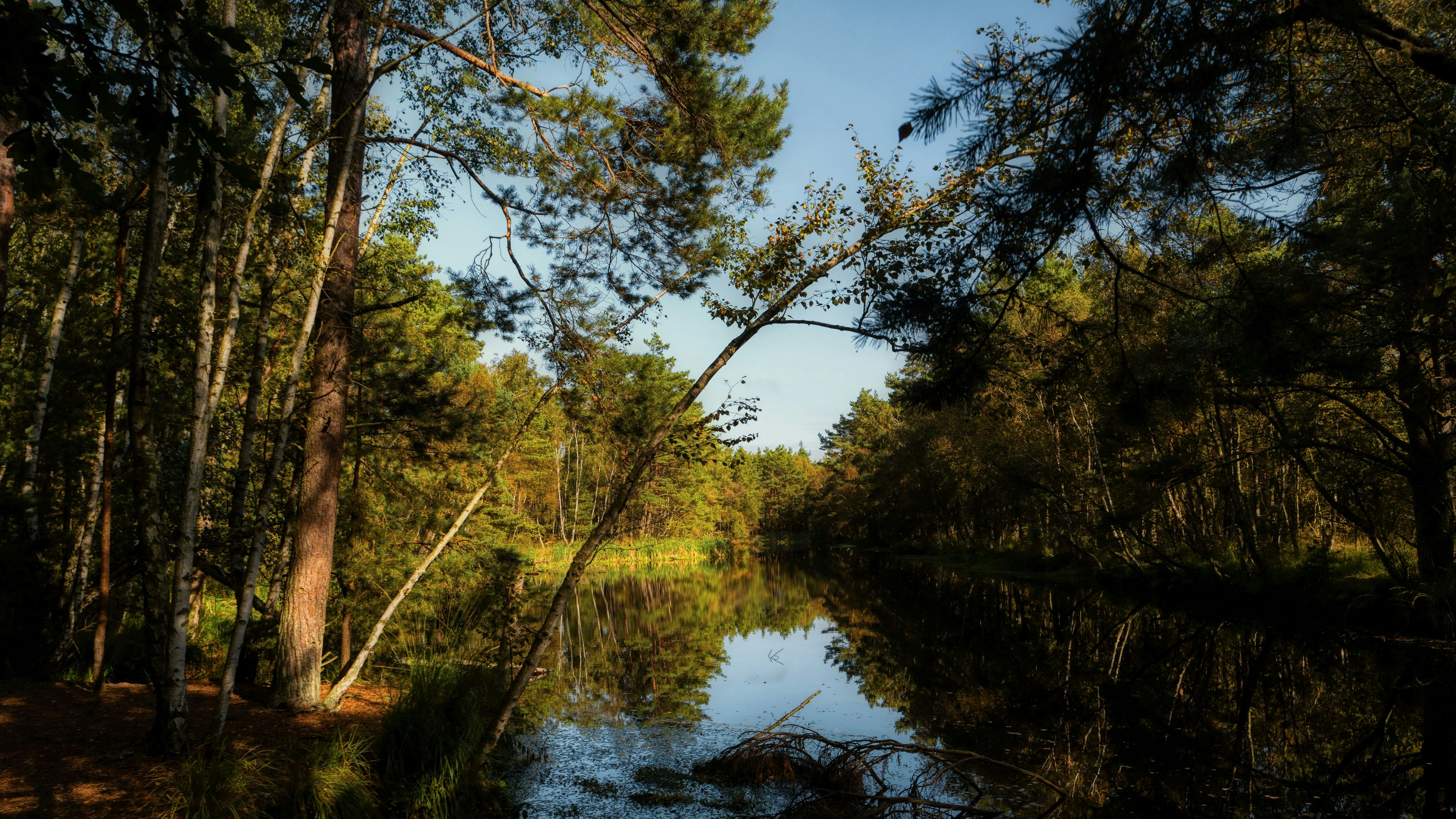 Auf dem Ribnitzer See in Mecklenburg-Vorpommern hat sich am Dienstagabend ein tödlicher Bootsunfall ereignet.