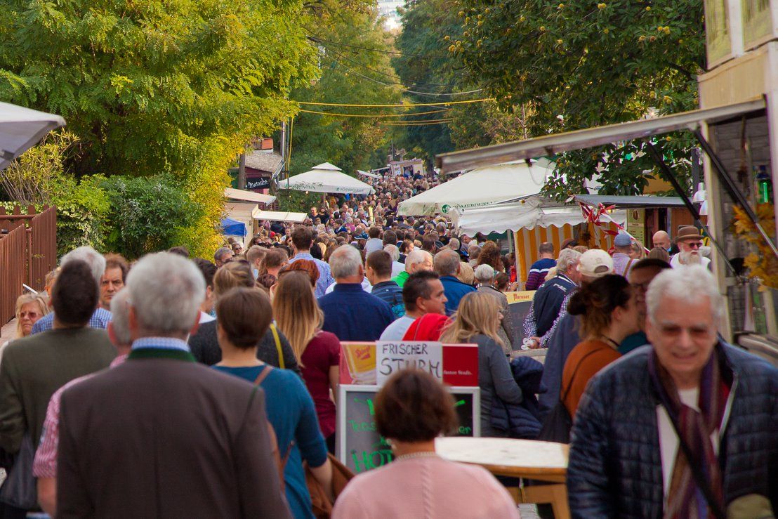 Mailüfterl, Weintage und Stürmische Tage sind Geschichte. 2019 war das letzte Jahr vor Corona, in dem die Stammersdorfer Weinfeste (Wien-Floridsdorf) stattfinden konnten.