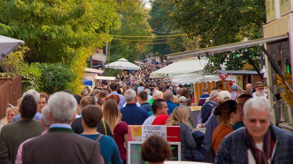Stammersdorfer Weinfeste