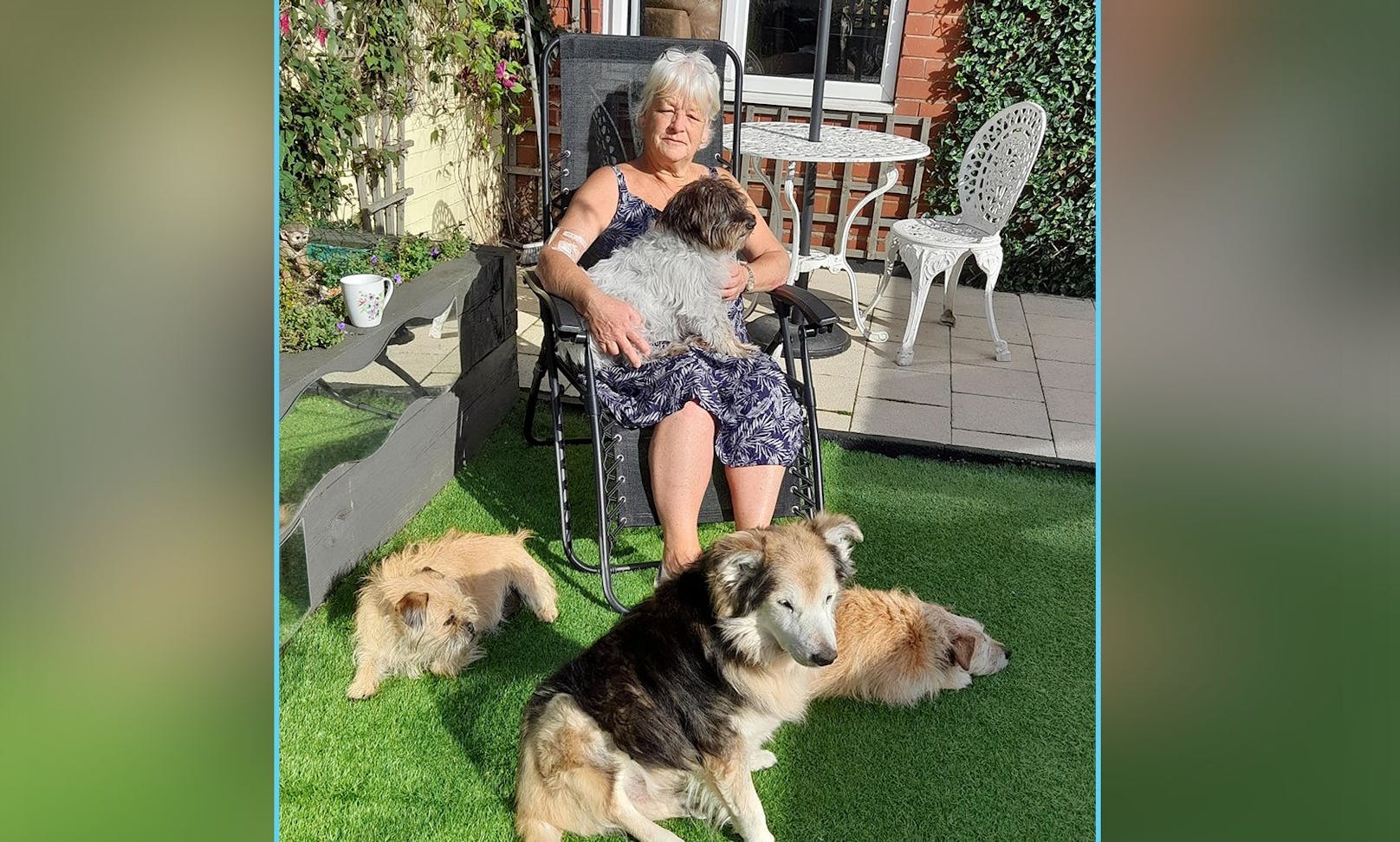 Bei Wendy Hayes wurde als erste Person im Vereinigten Königreich "Brucella Canis" diagnostiziert.