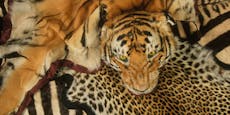 WWF warnt vor tierischen Souvenirs im Urlaub
