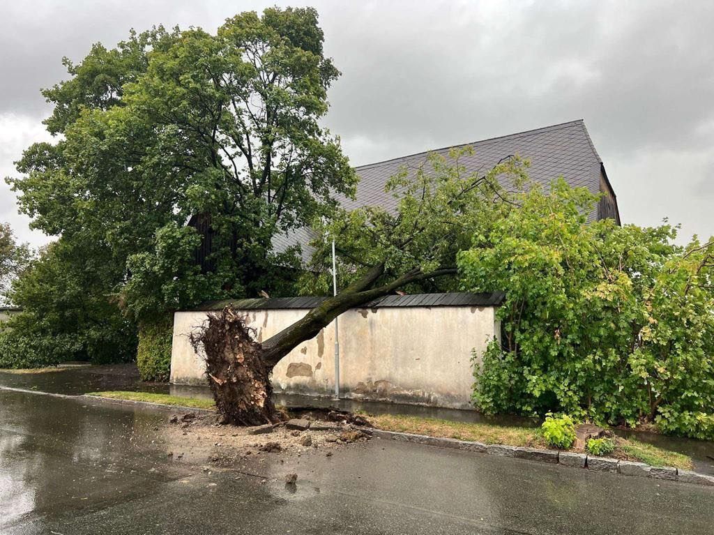 Orkan-Unwetter am 18. August 2022: Ein umgerissener im Bezirk Murtal verfehlte knapp die Straße.