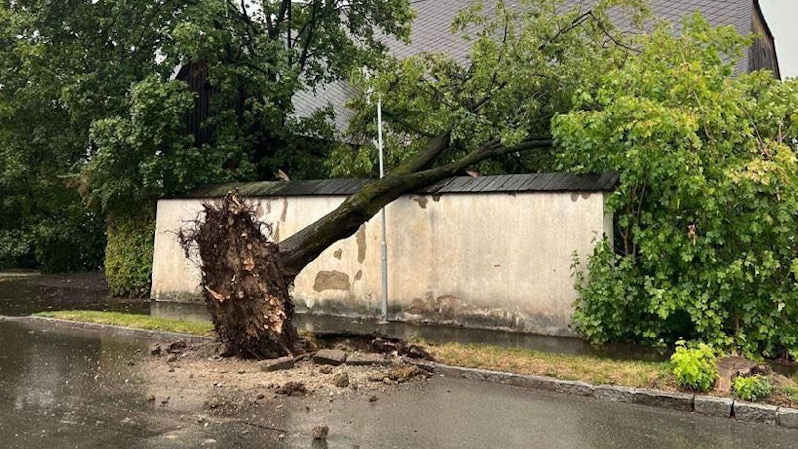 Orkan-Unwetter am 18. August 2022: Ein umgerissener im Bezirk Murtal verfehlte knapp die Straße.