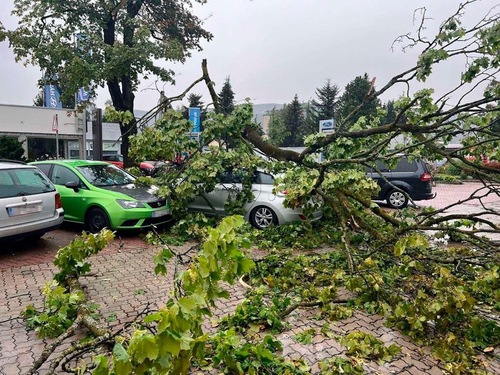 Orkan-Unwetter am 18. August 2022: Verwüstungen im Bezirk Murtal, Steiermark.