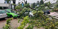 Höchste Warnstufe! Orkan-Unwetter verwüstet Österreich