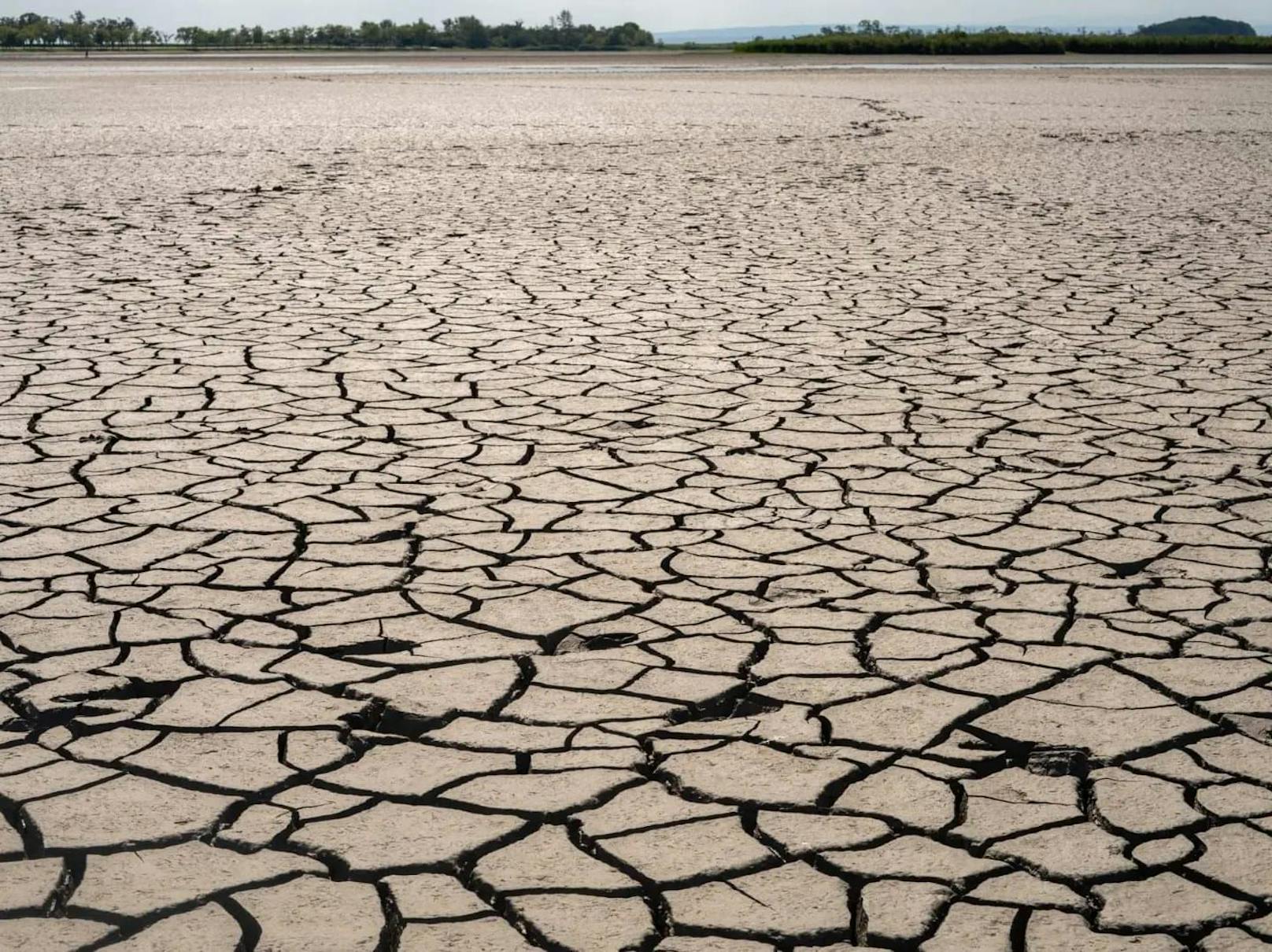Extreme Dürre: Zicksee ist nun vollkommen verlandet