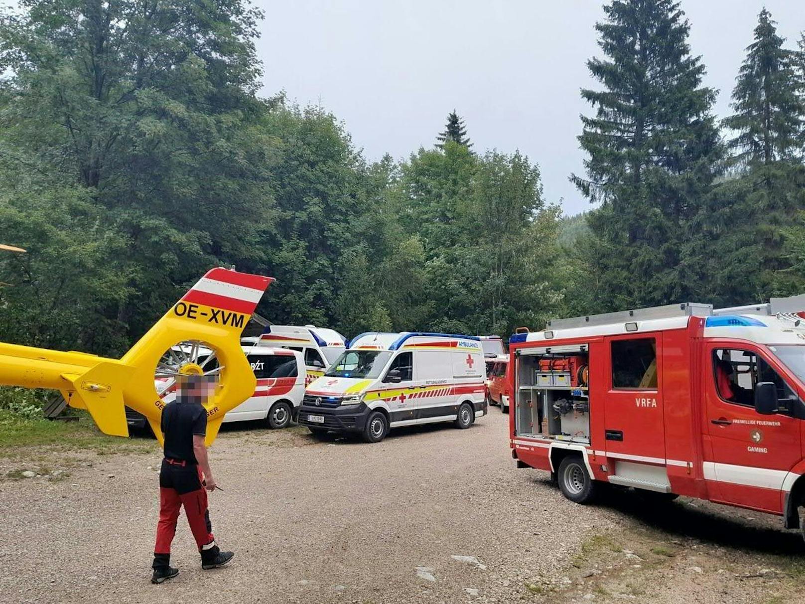 Im Bezirk Scheibbs (Niederösterreich) wurden drei Wanderinnen durch einen umstürzenden Baum getötet.