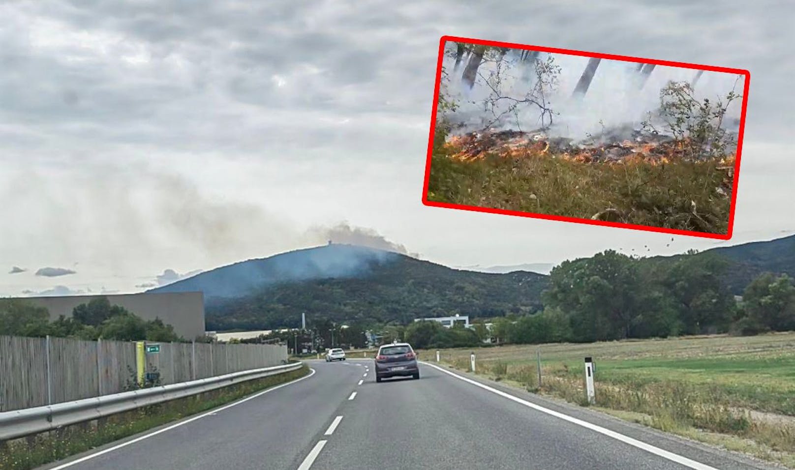 Zwei mögliche Ursachen für Waldbrand im Bezirk Baden