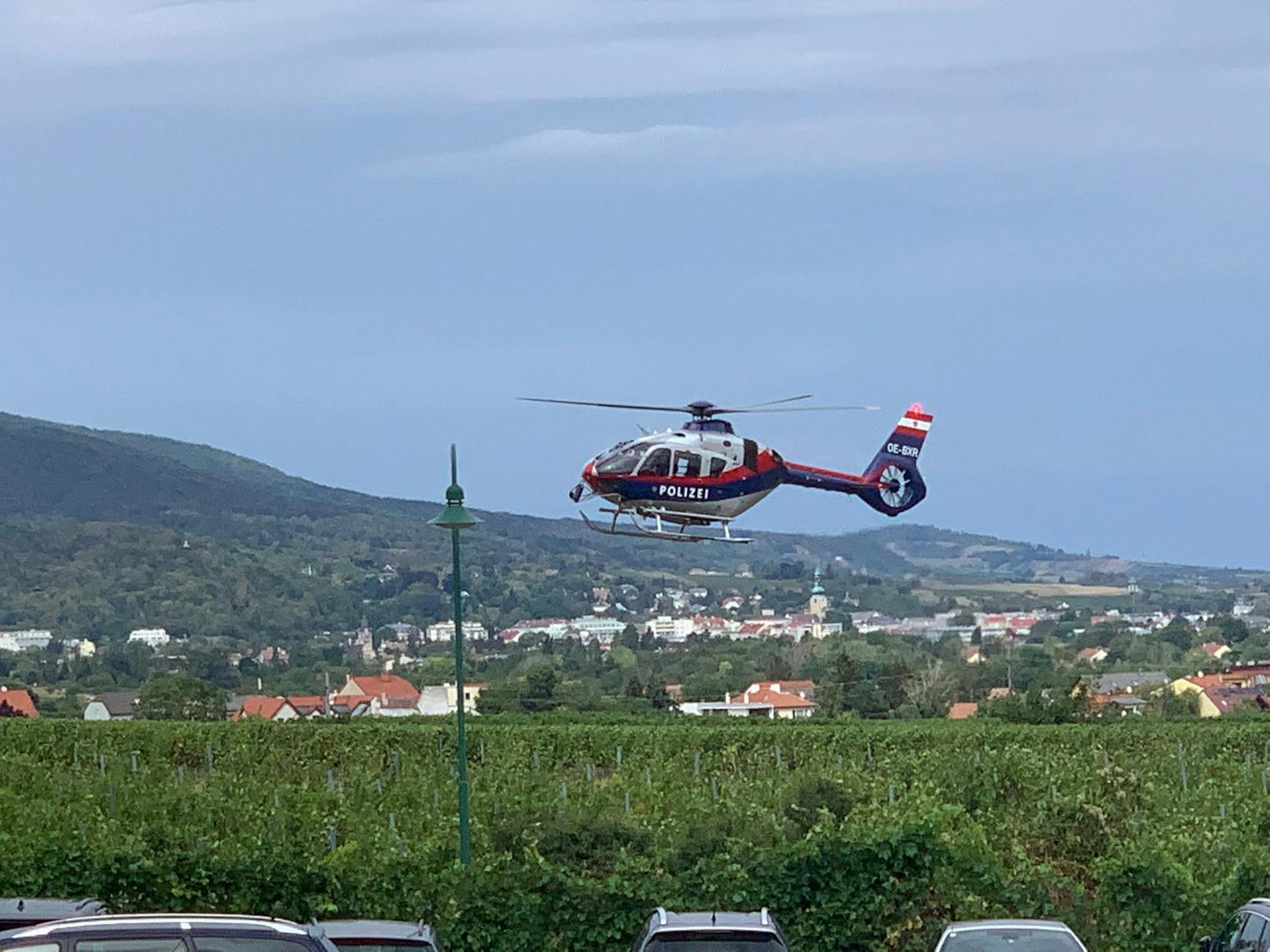 Waldbrand Bad Vöslau: Auch Polizei-Heli im Einsatz