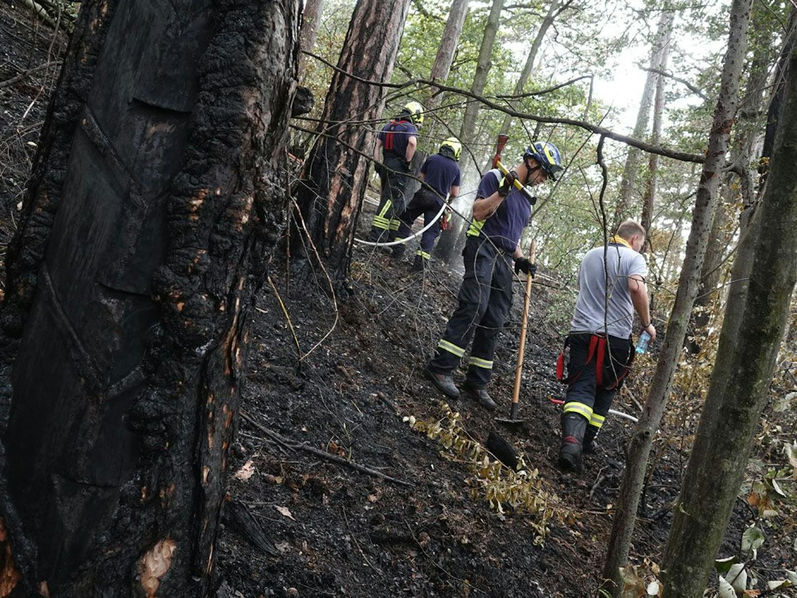 Waldbrand Bad Völsau