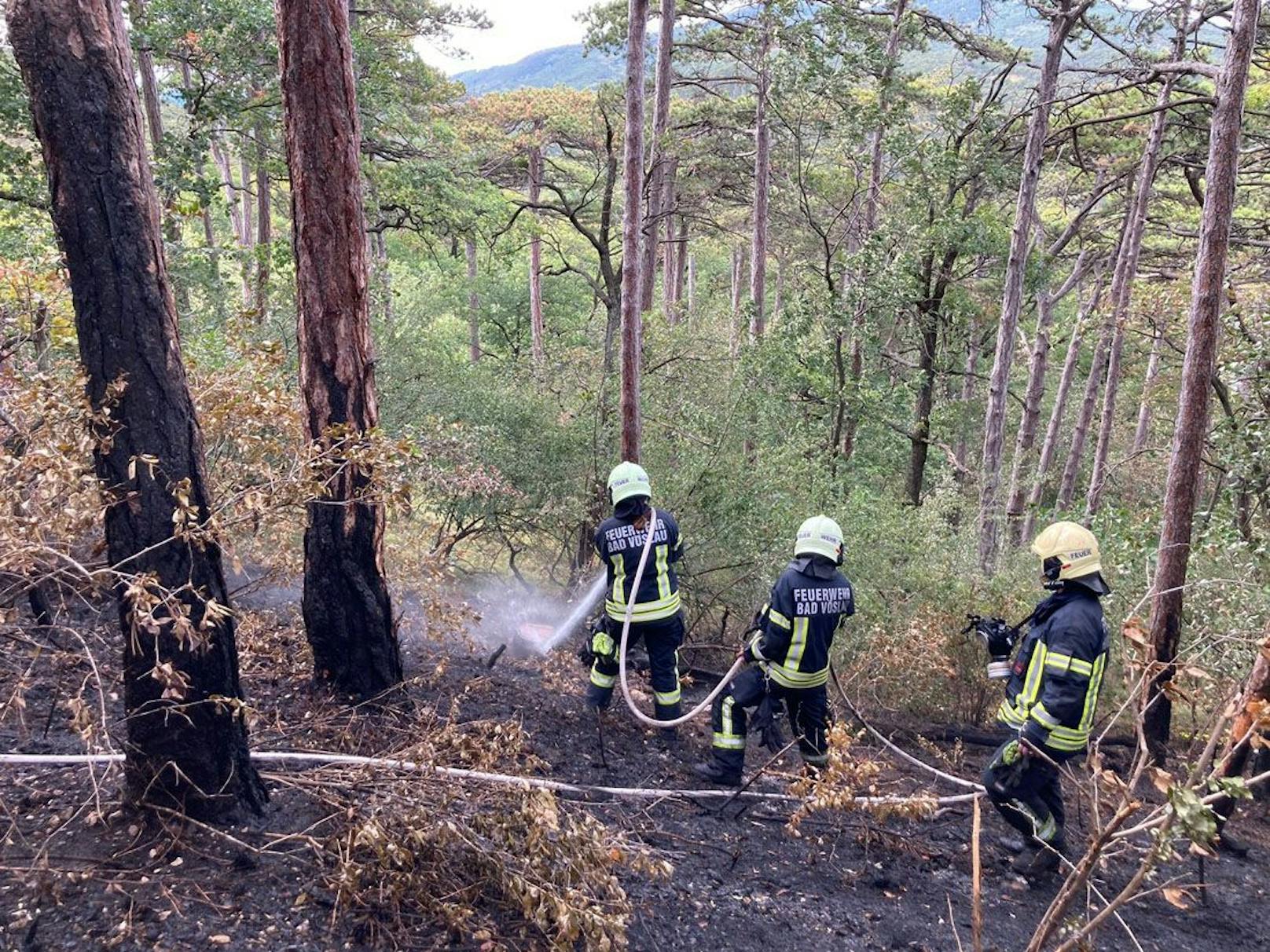 Löscheinsatz der Feuerwehr