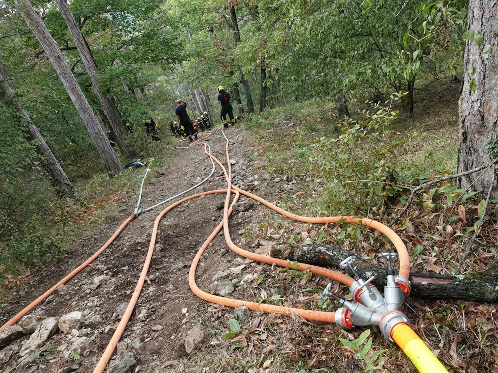 Waldbrand Bad Völsau