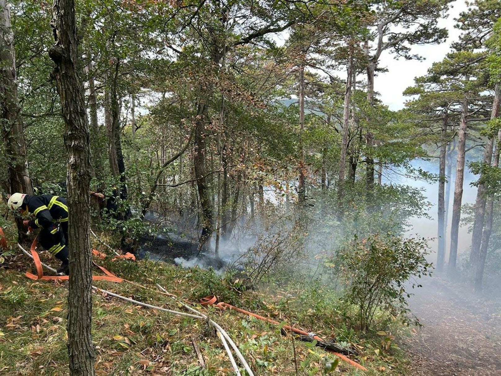 Waldbrand in Bad Völsau forderte Feuerwehr