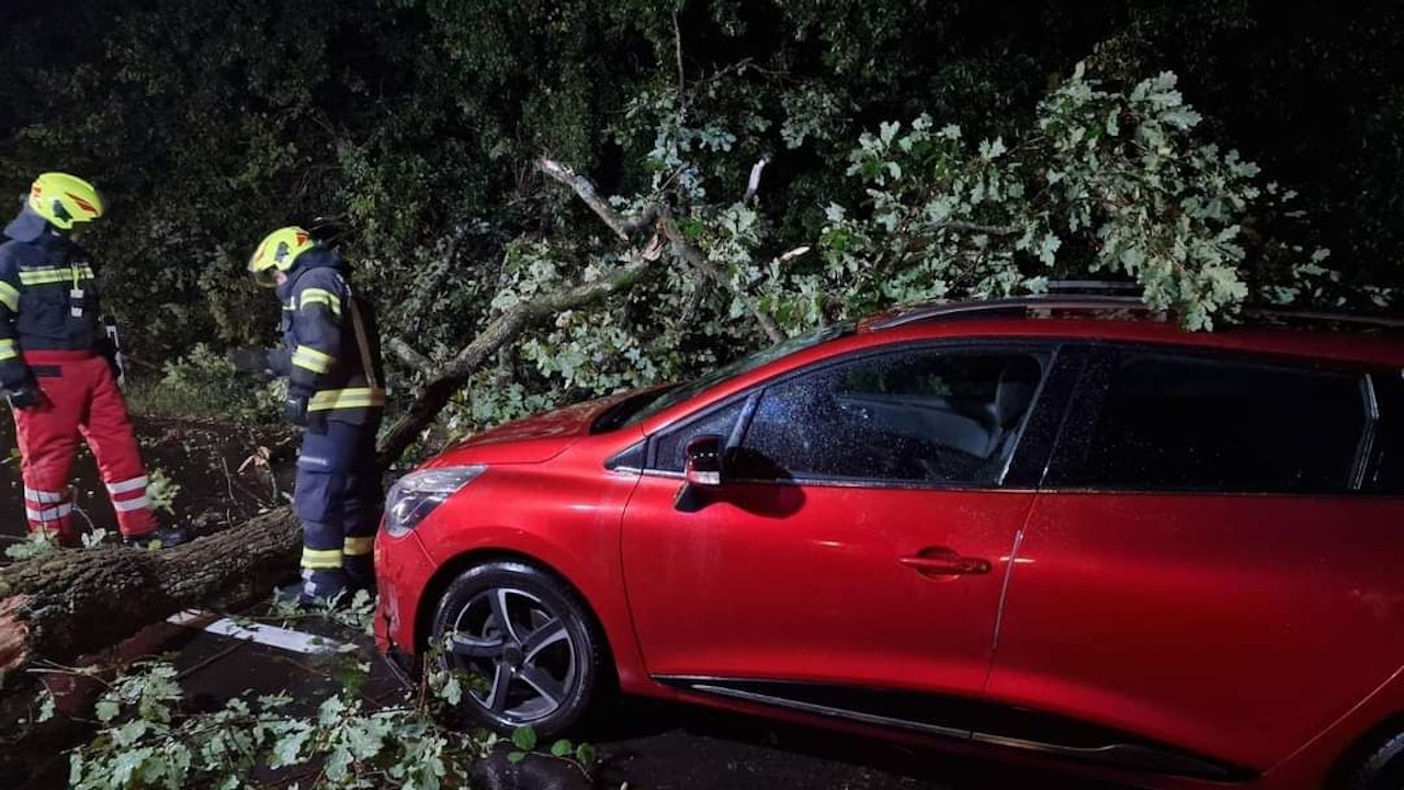 Heute.at - Riesen-Glück: Baum verfehlt Familien-Auto haarscharf
