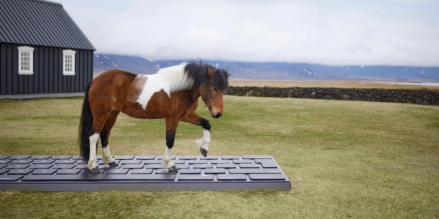"Hekla frá Þorkellshóli" tritt in die Tasten.