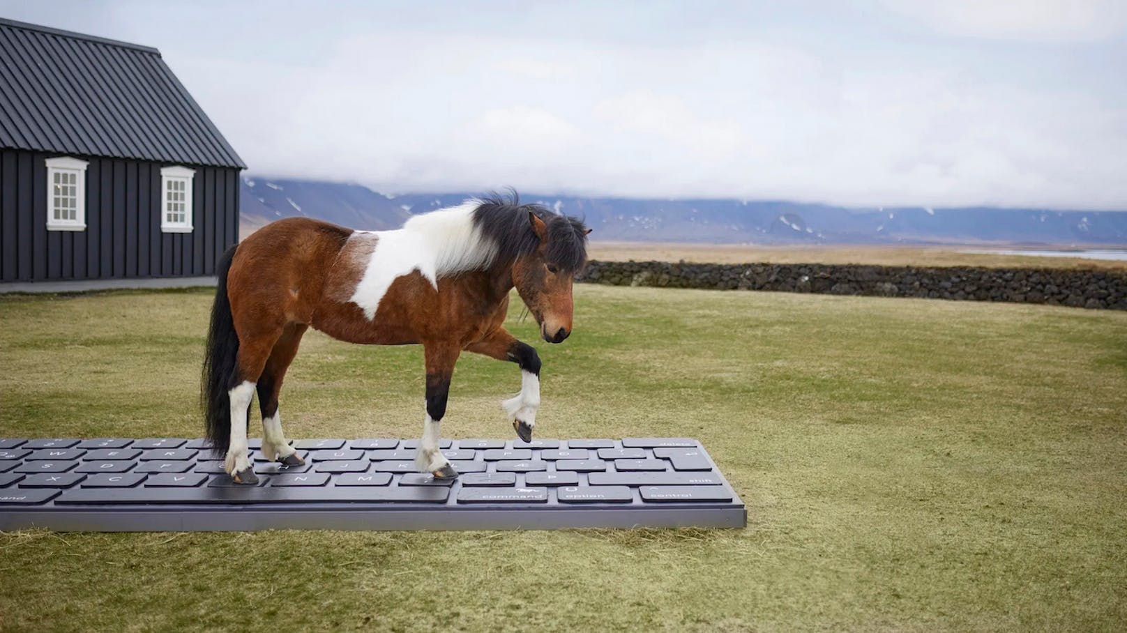 Island bietet Abwesenheitsnotiz per Pferd an