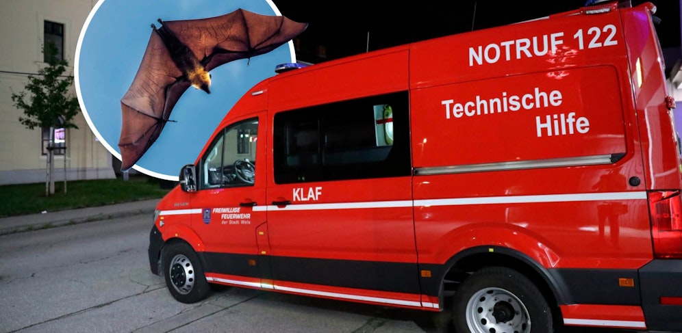 Die Freiwillige Feuerwehr Wels rückte mit zwei Mann aus.